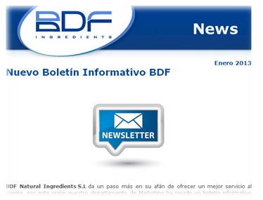 Be updated with the new BDF Newsletter 2 newsletter 1