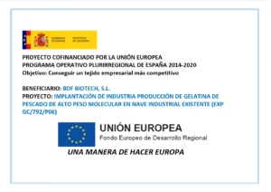 bdf cartel financiacion plurirregional