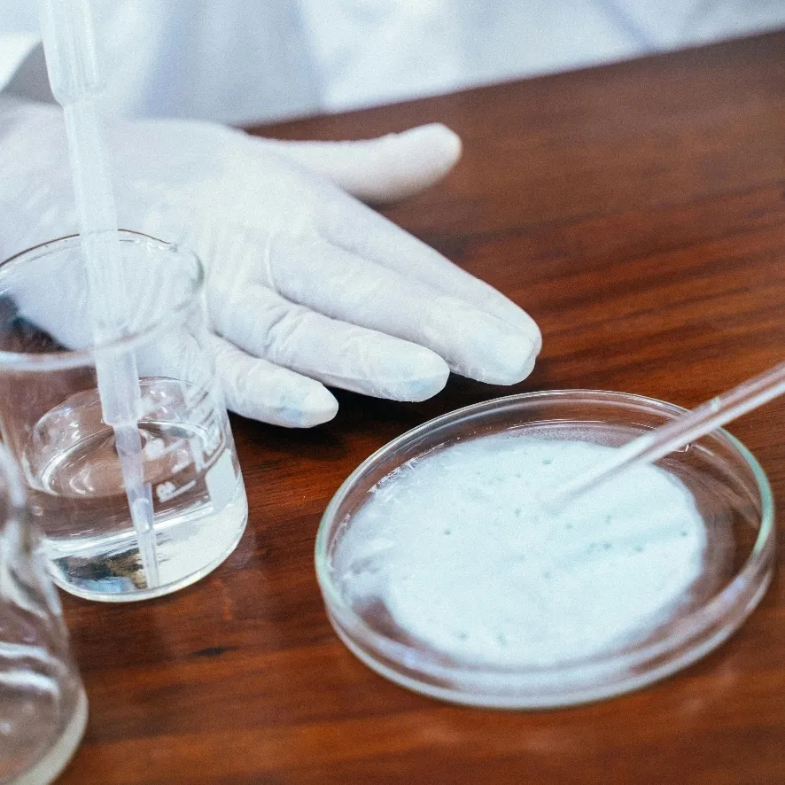 Transglutaminase EFSA