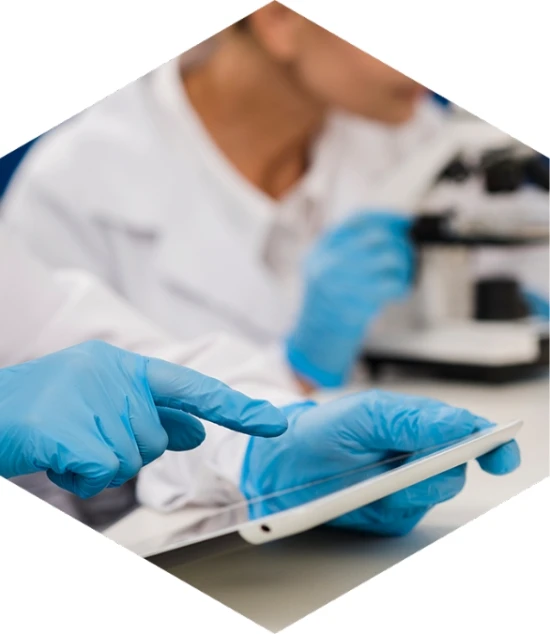 Transglutiaminasa EFSA